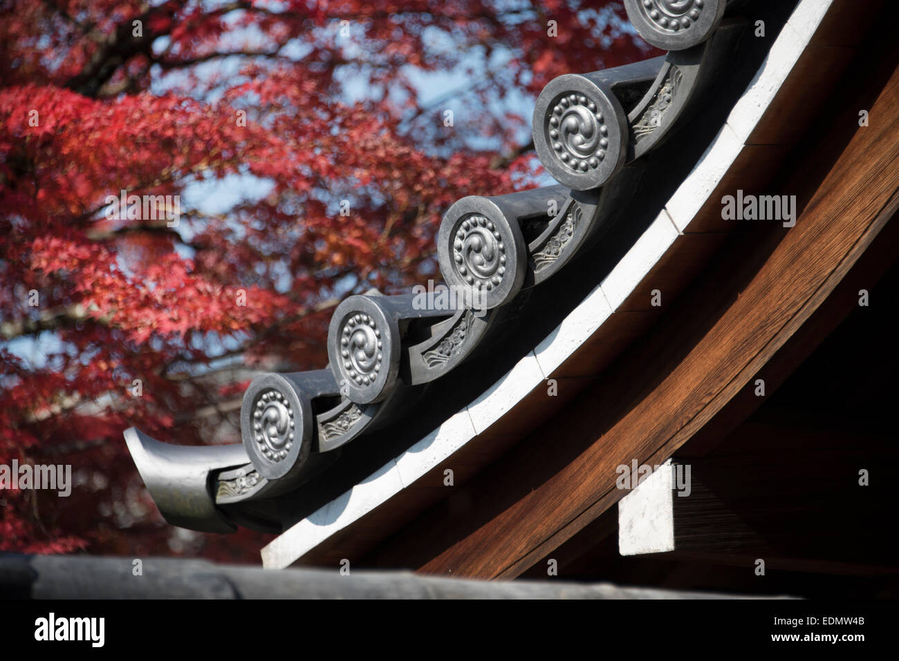 Scène d'automne, le Japon. Banque D'Images