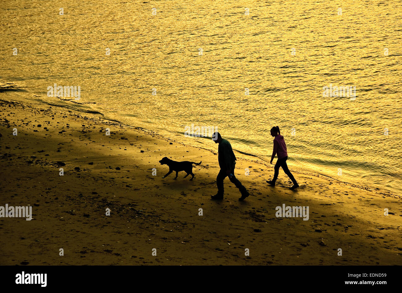 Deux personnes et le chien marche sur l'eau le long de la plage au coucher du soleil. Banque D'Images
