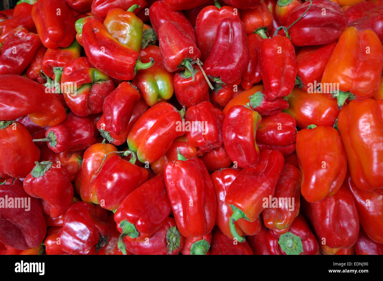 Poivrons rouges, en Jordanie Banque D'Images