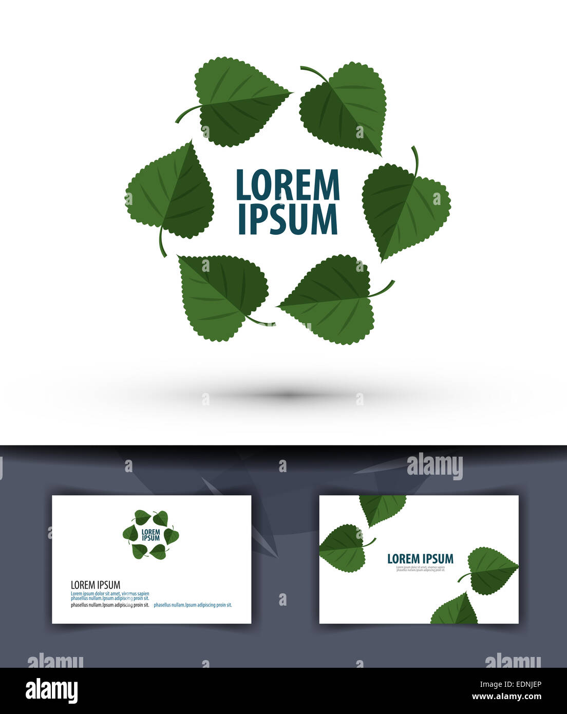 La nature. Feuilles dans le cercle. Logo, icône, emblème, modèle, carte d'affaires Banque D'Images