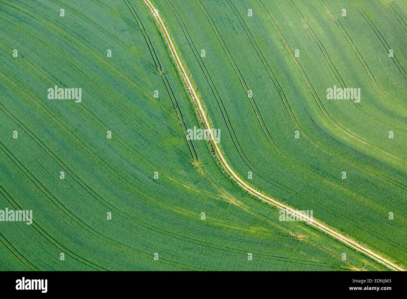 Vue aérienne, champ de blé vert avec une route agricole, Landshut, Basse-Bavière, Bavière, Allemagne Banque D'Images