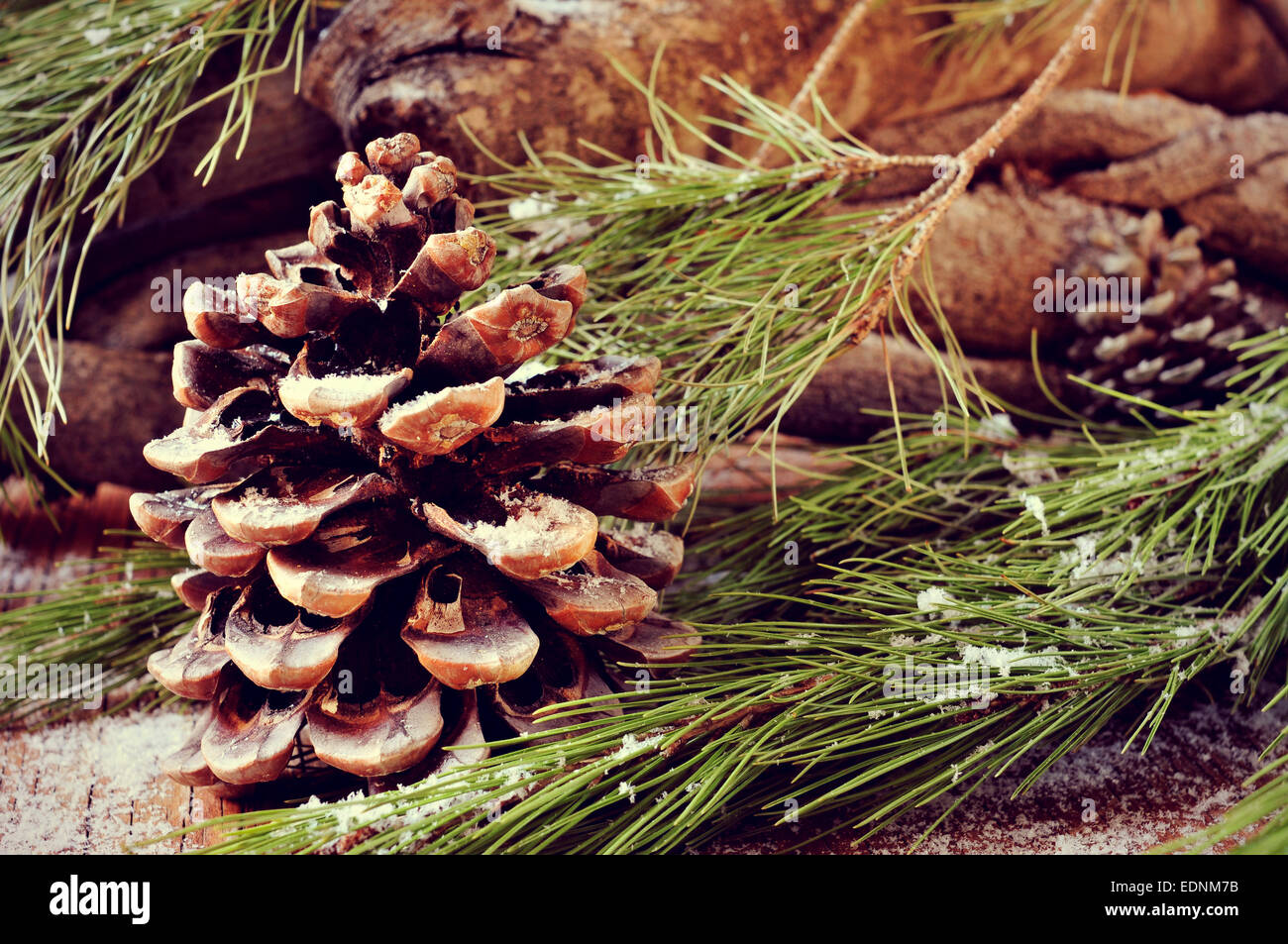 Libre d'une branche de pin et des pommes de pin avec les flocons de neige, et une pile de journaux dans l'arrière-plan Banque D'Images