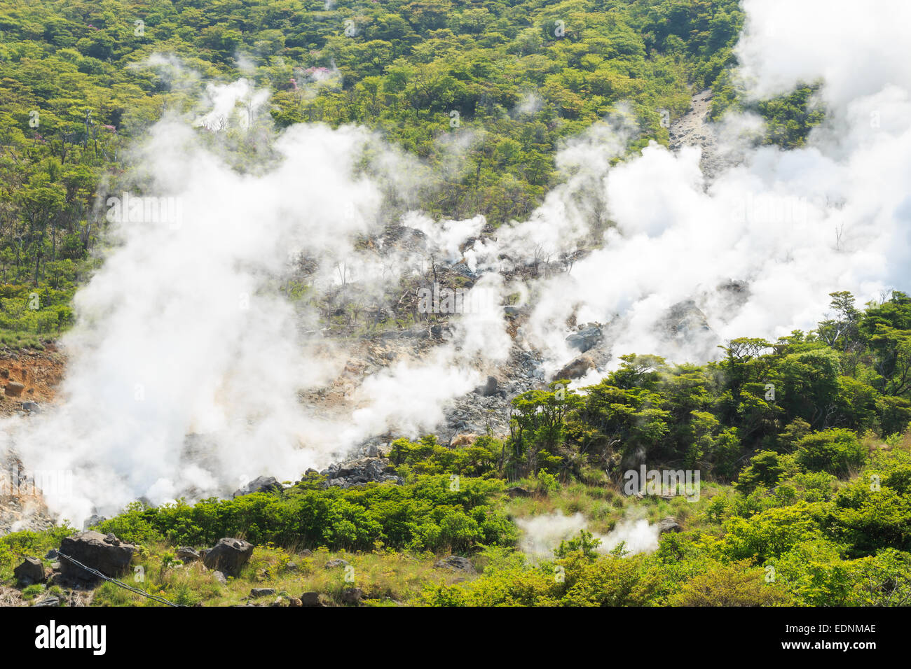 La vallée volcanique d'Owakudani Valley ( avec soufre actif et hot springs à Hakone, Kanagawa, Japon) Banque D'Images