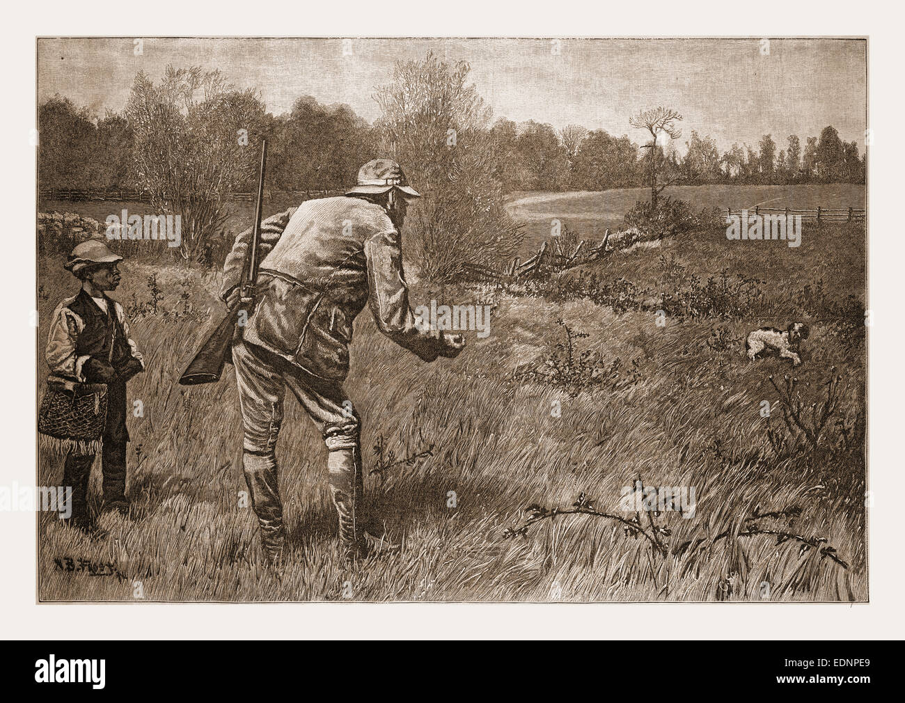 GUN-timide, dessiné par A. B. FROST., 1880, 19e siècle gravure, USA, Amérique Latine Banque D'Images