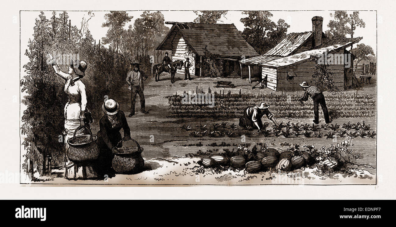 Le jardin anglais, des scènes en rugby, la colonie anglaise au Tennesse, 1880, USA, Amérique, gravure du xixe siècle Banque D'Images