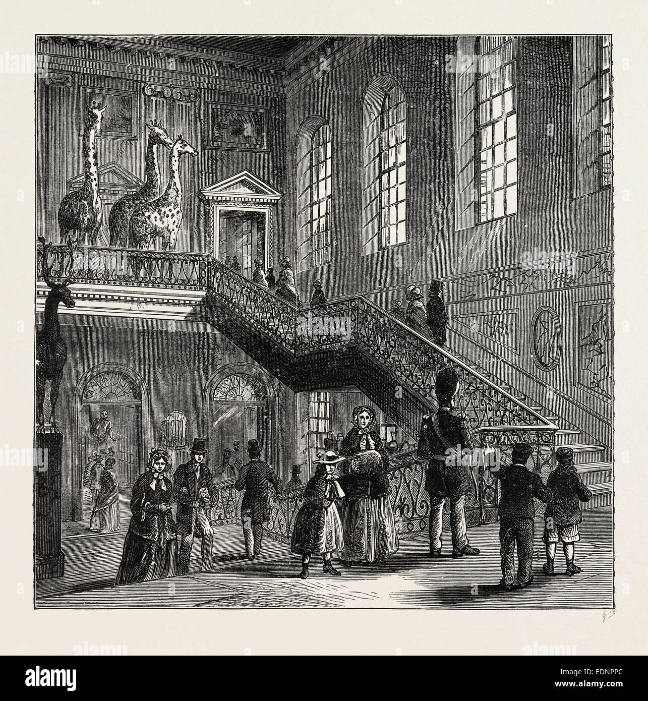 MONTAGU HOUSE, grand escalier, 1830. Londres, Royaume-Uni, la gravure du xixe siècle Banque D'Images
