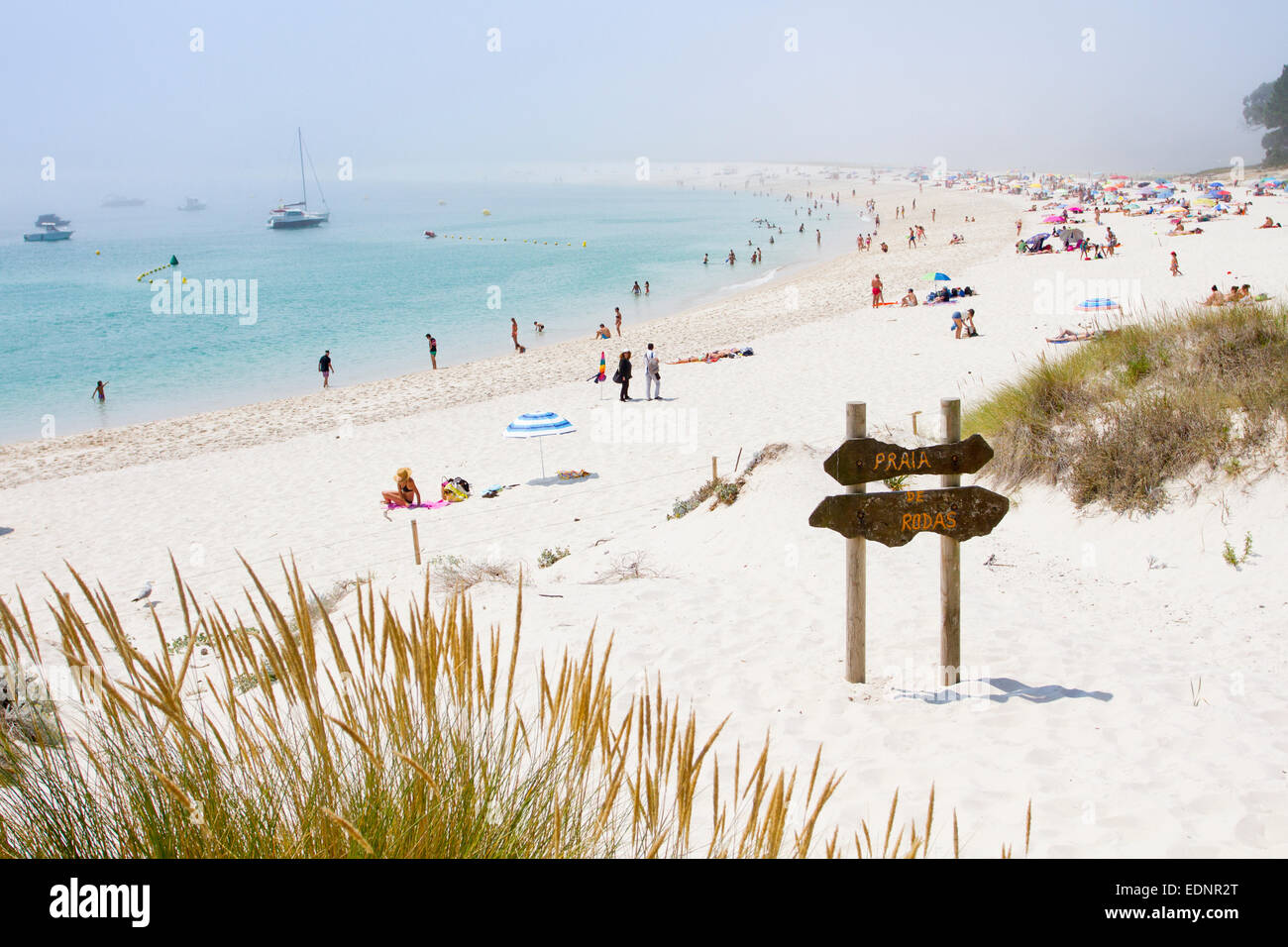 Rodas, plage des îles Cies, Vigo, Pontevedra, Galice, Espagne Banque D'Images