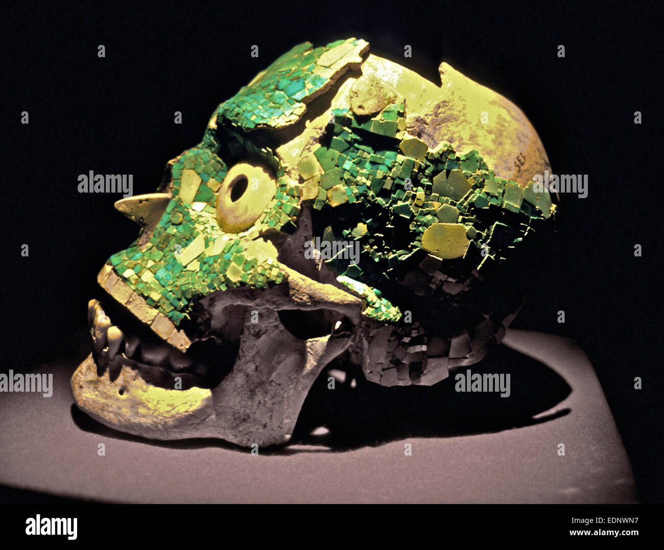 Trésors trouvés à Monte Alban à Oaxaca pendant les fouilles du grand site archéologique précolombien : cette belle jade et or crâne humain. Le site comprend deux bien conservé. Banque D'Images