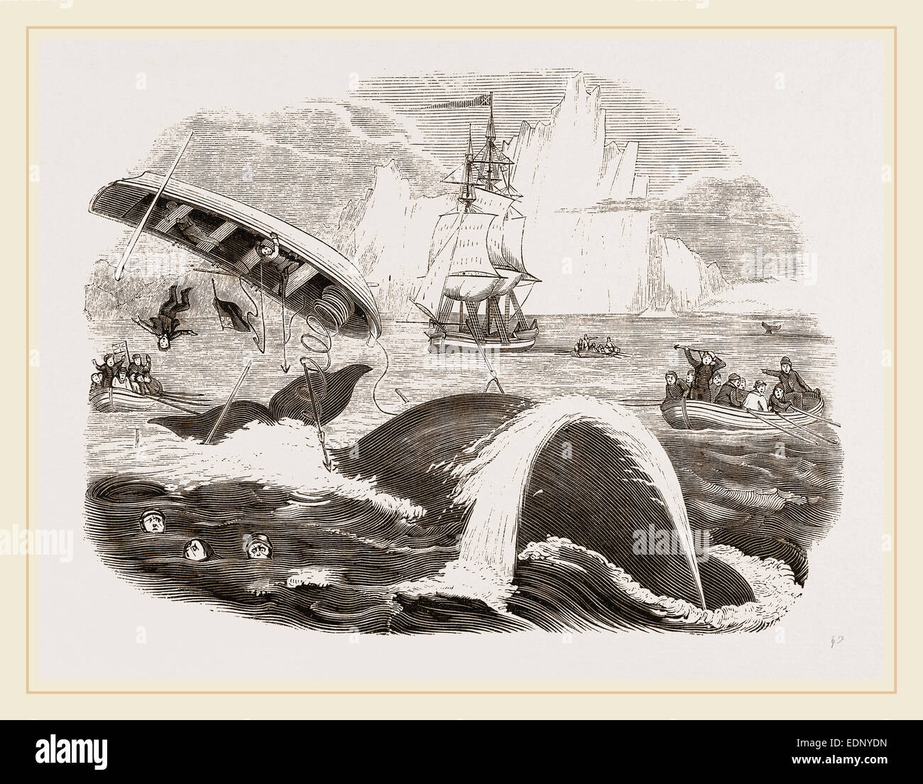 Dangers de la pêche des baleines Banque D'Images