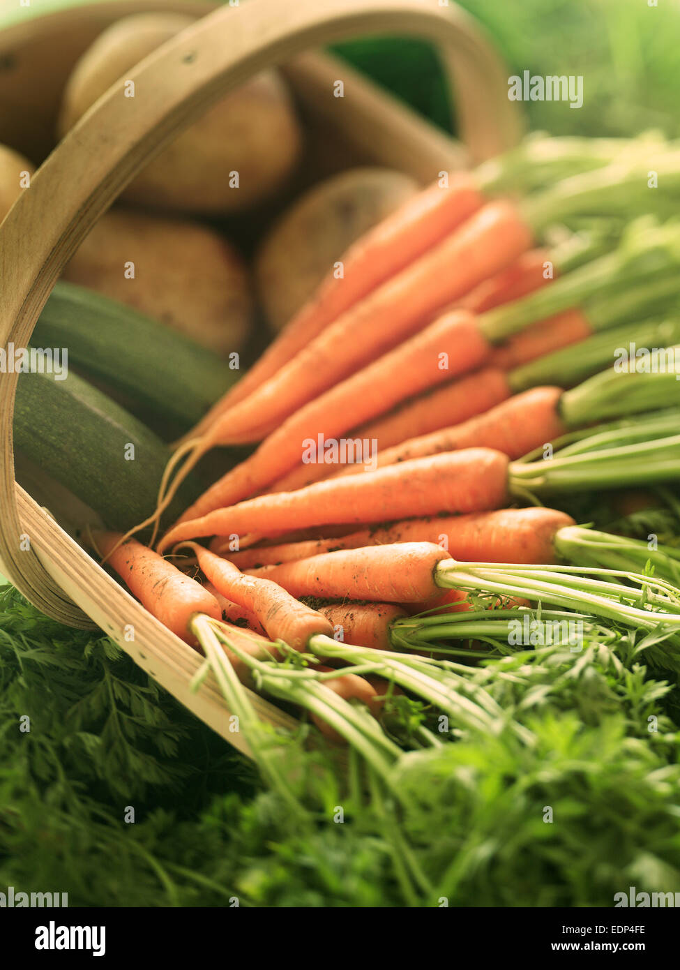 Une profondeur de champ à tourné de fraîchement creusée de légumes - carottes, pommes de terre et courgettes Banque D'Images