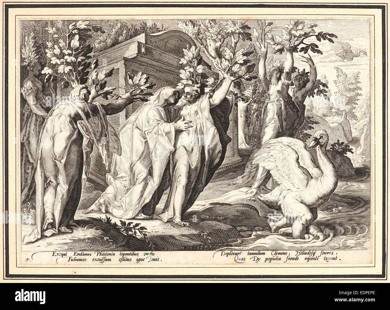 Après anonyme Hendrick Goltzius (Néerlandais, 1558 - 1617). Les Sœurs de phaéton a changé dans les peupliers, et Cygnus en un cygne, ca. 1590 Banque D'Images