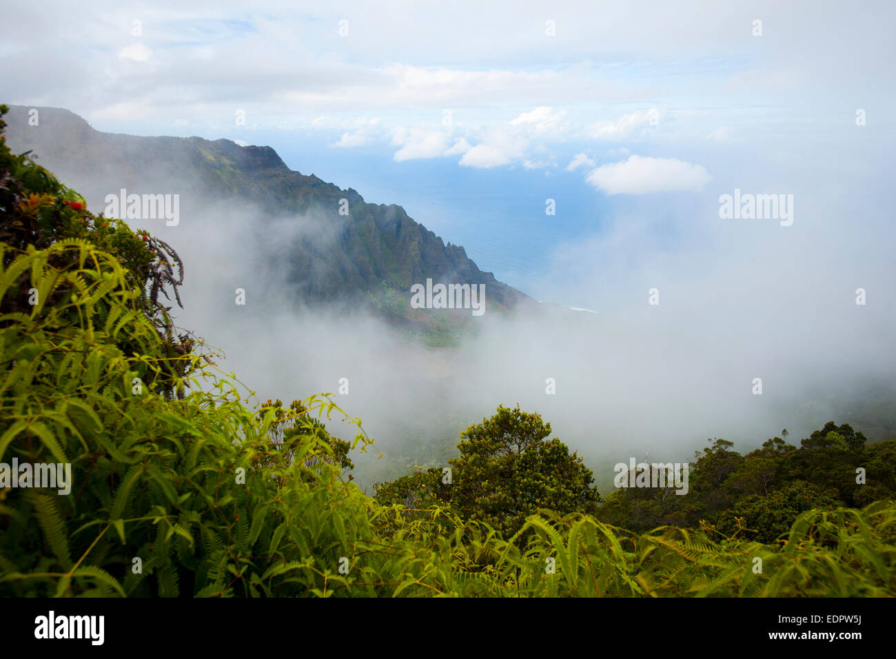 Randonnée dans le Canyon de Waimea surplombant le sentier Kalalau et la Côte de Na Pali de Kauai. Banque D'Images