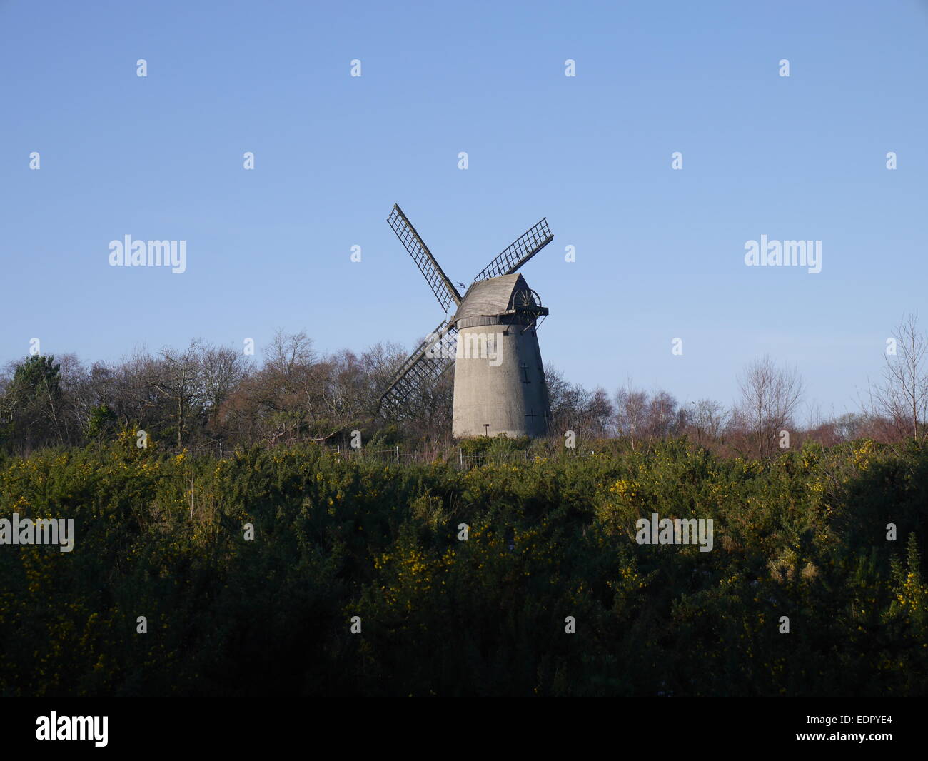 Bidston WIndmill Hill Banque D'Images