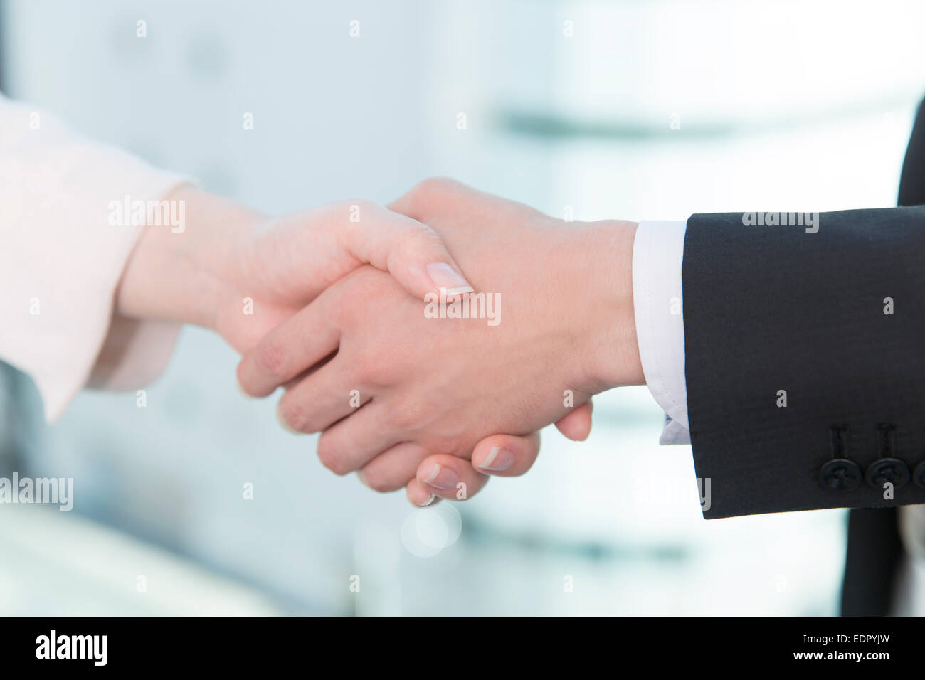 Close up of Business People Shaking Hands Banque D'Images