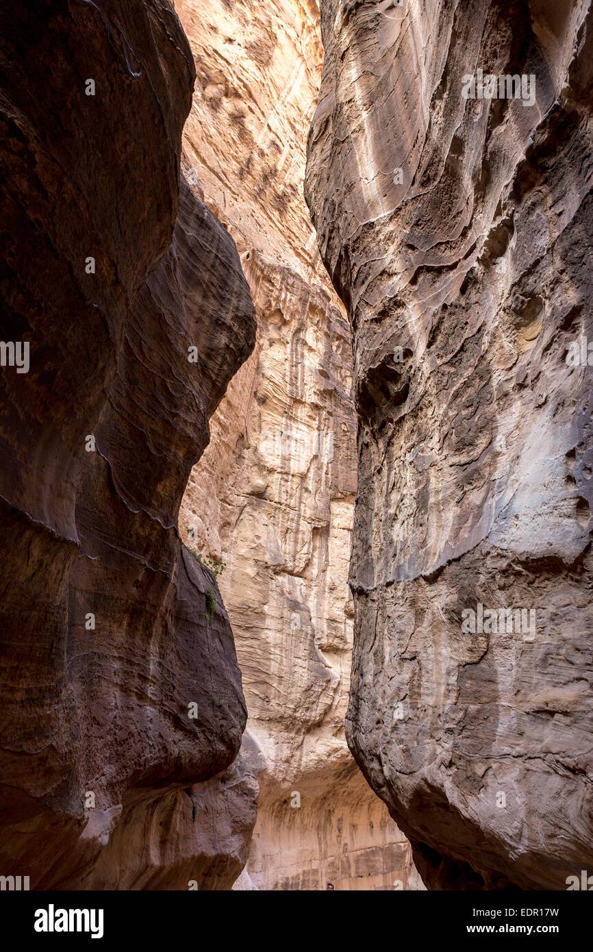 Petra (arabe : البتراء, Al-Batrāʾ ; le grec ancien : Πέτρα) est une ville historique et archéologique dans le sud de la Jordanian gover Banque D'Images