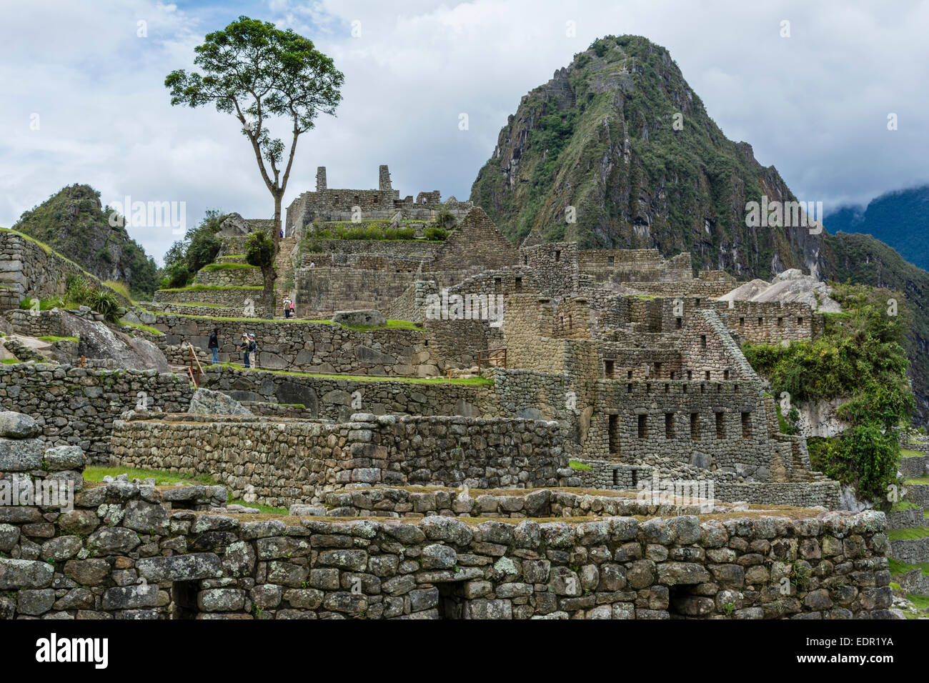 Ruines de Machu Picchu, Pérou Banque D'Images