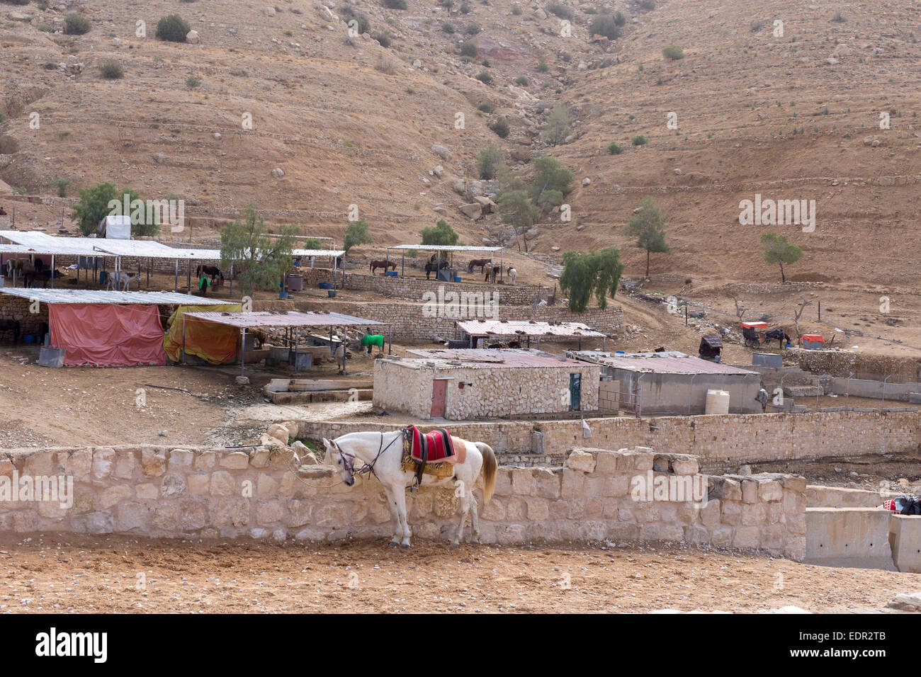 Petra, Jordanie Banque D'Images