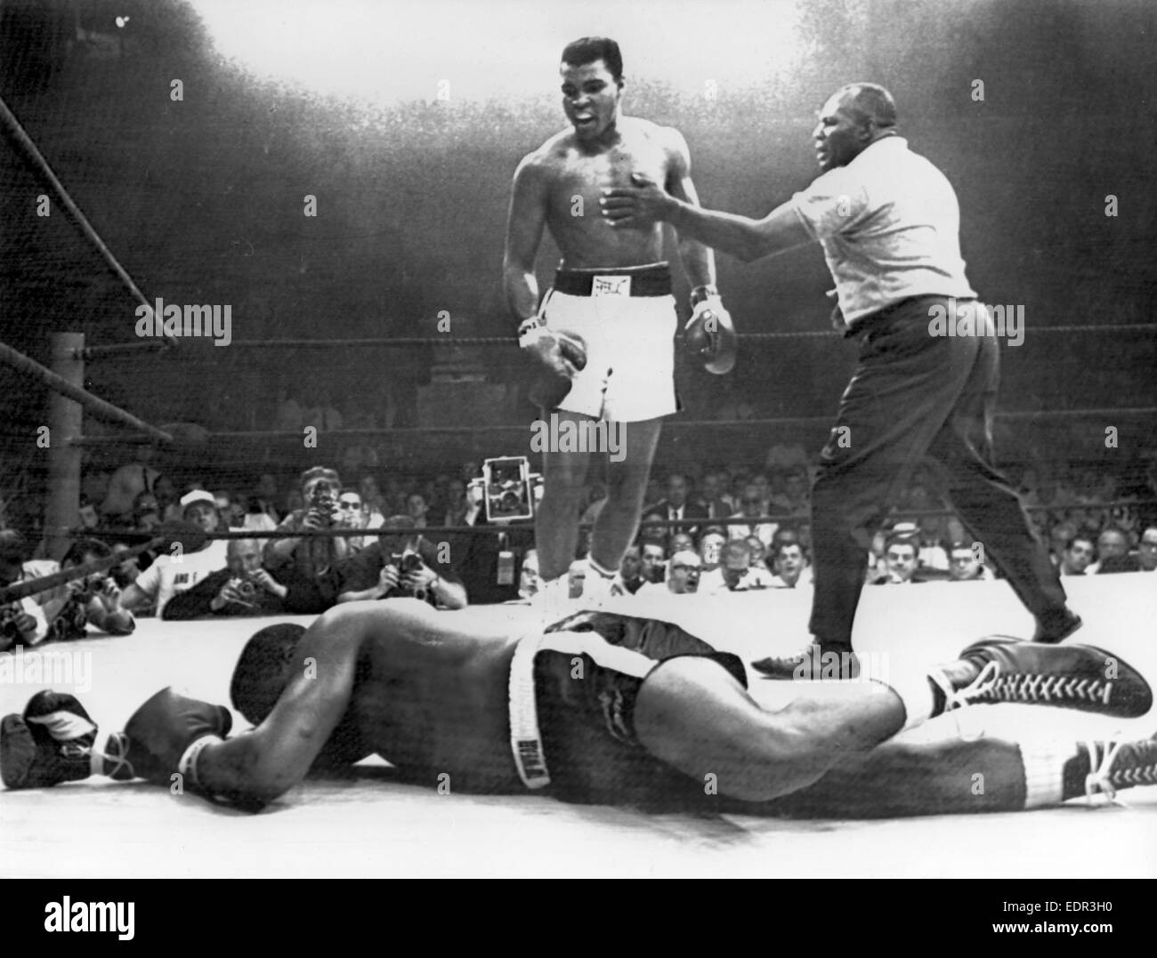 25.05.1965. Lewiston, Maine, USA. Muhammad Ali Challenger (également connu sous le nom de Cassius Clay) knocks out Charles "Sonny" Liston Lewiston Maine USA pour gagner le titre de champion du monde poids lourd. Banque D'Images