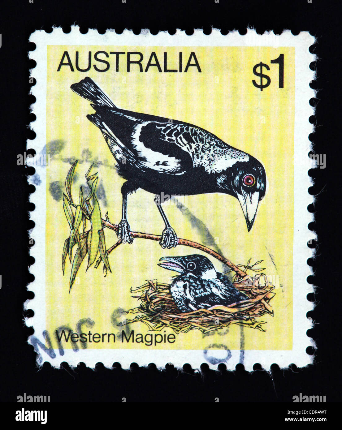 Utilisé et oblitérée Australie / Austrailian Stamp - Magpie Ouest Banque D'Images