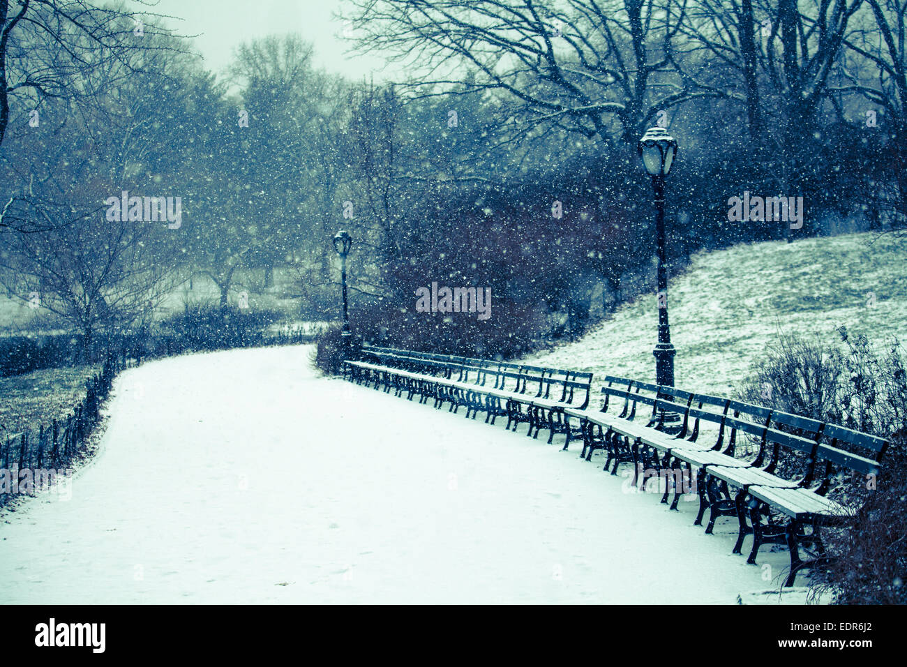 La neige qui tombe sur la voie, Central Park, New York City Banque D'Images
