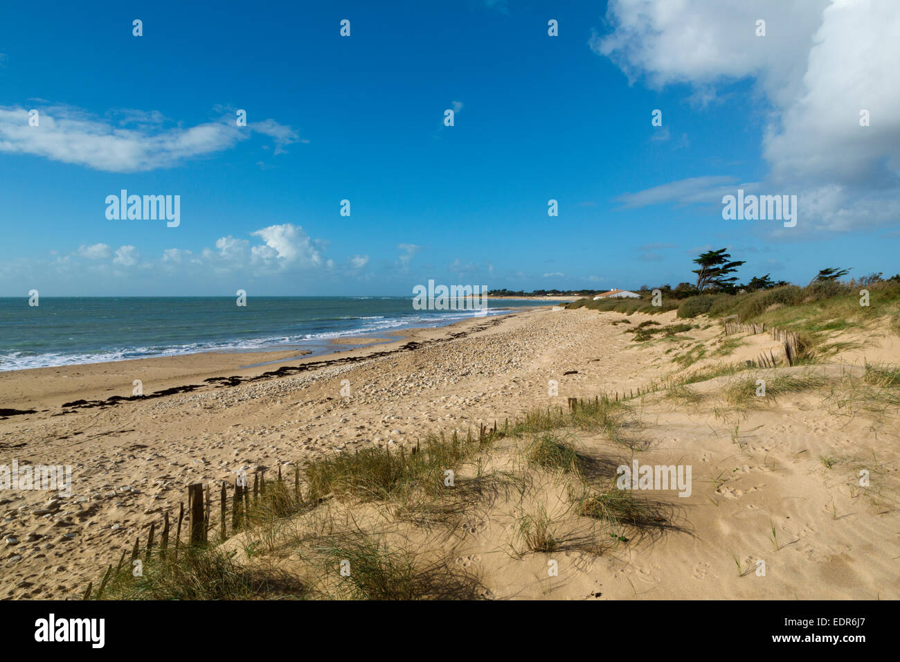 Le marin de la plage de Sainte Marie de Ré, Ile De Re, Poitou Charente,  Charente Maritime, France Photo Stock - Alamy