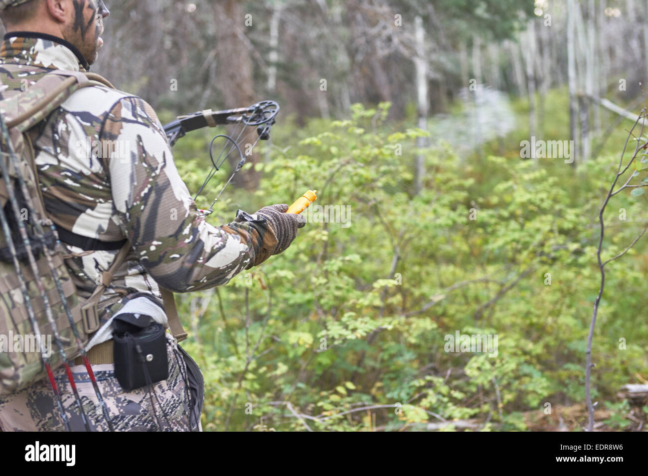 La chasse au cerf dans Pagosa Springs au Colorado. Banque D'Images