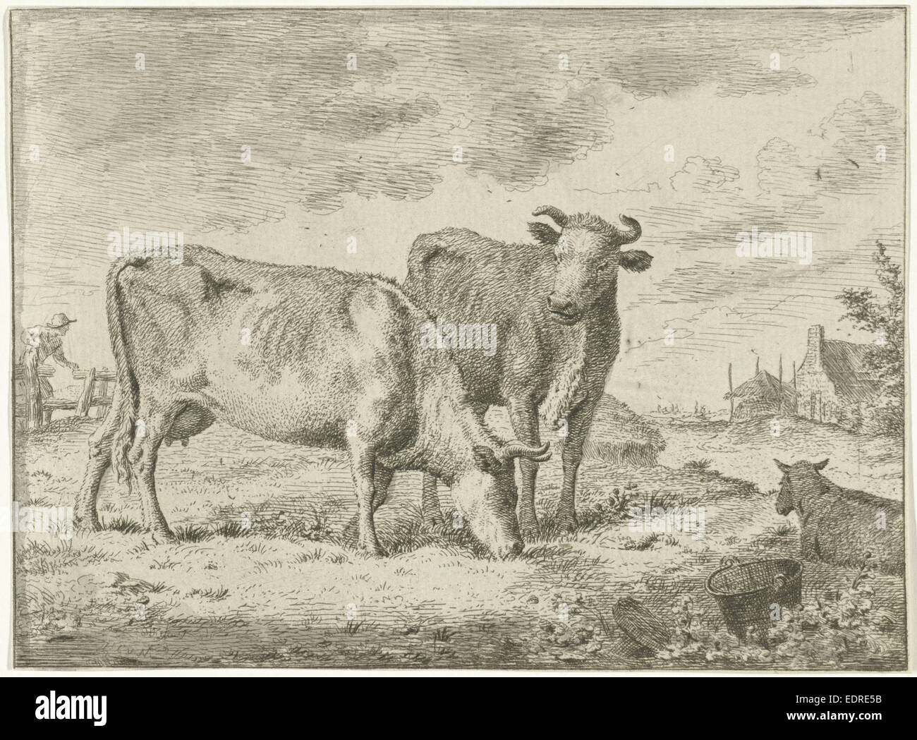 Deux vaches, Cornelis van Noorde, 1741 - 1795 Banque D'Images