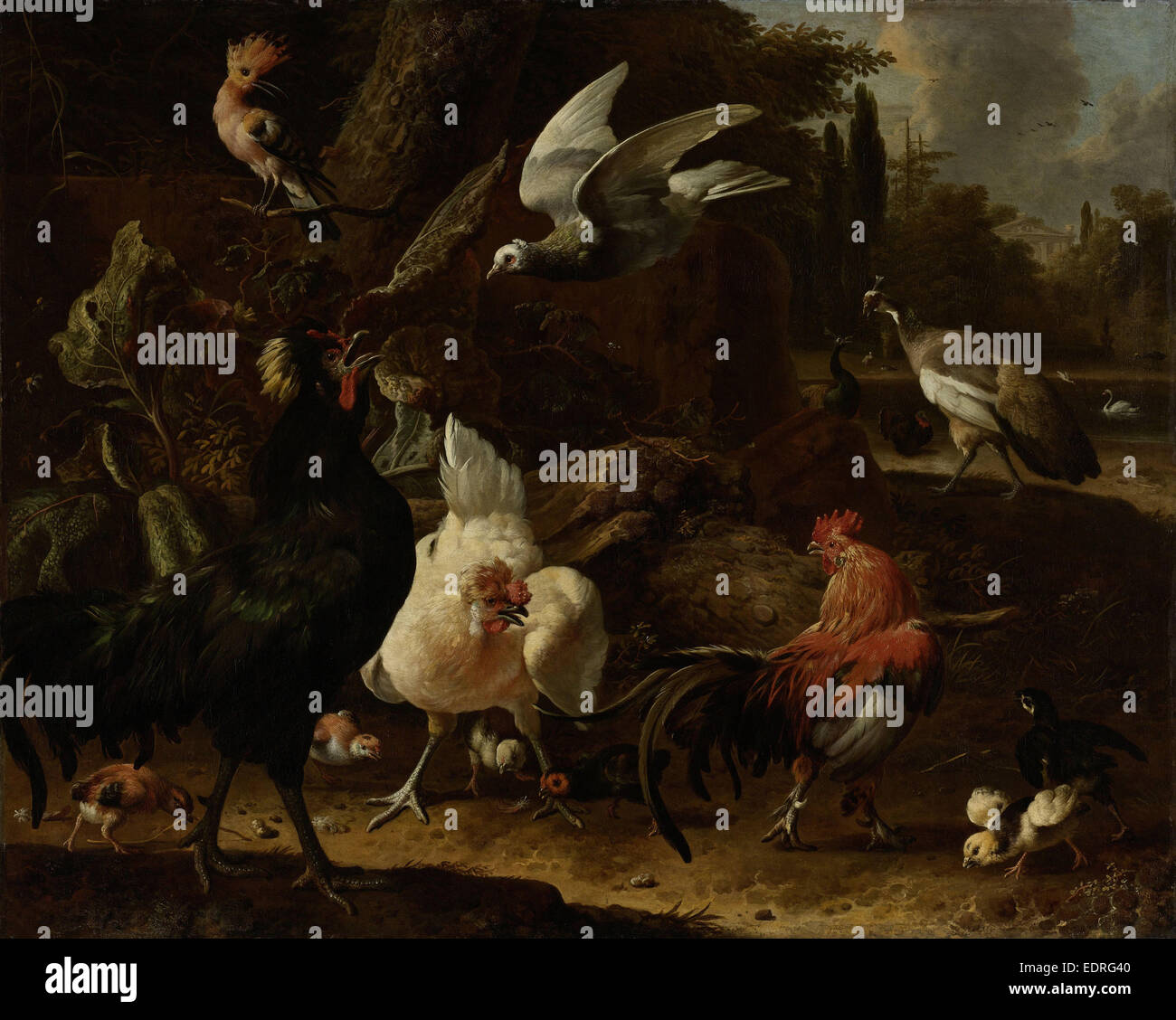 Les oiseaux dans un parc, Melchior d'Hondecoeter, 1686 Banque D'Images