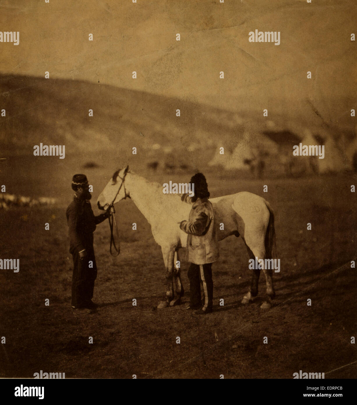 Le colonel Clarke, l'Écossais' gris, avec le cheval blessé à la bataille de Balaklava, guerre de Crimée, 1853-1856, Roger Fenton campagne guerre historique Banque D'Images