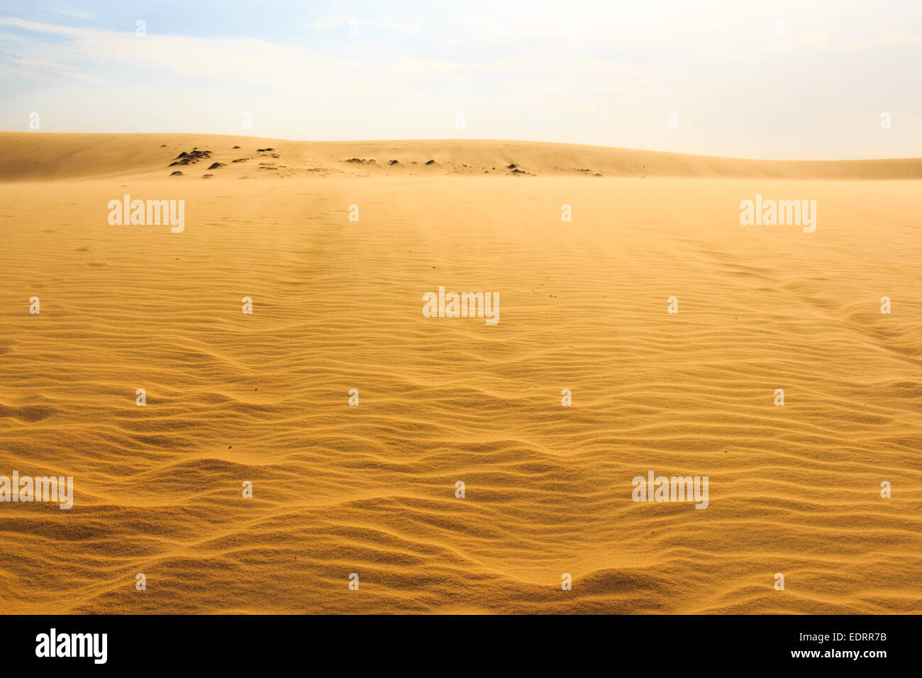 Sur l'onde et le ciel bleu du désert (dunes de sable de Mui Ne au Vietnam du Sud) Banque D'Images
