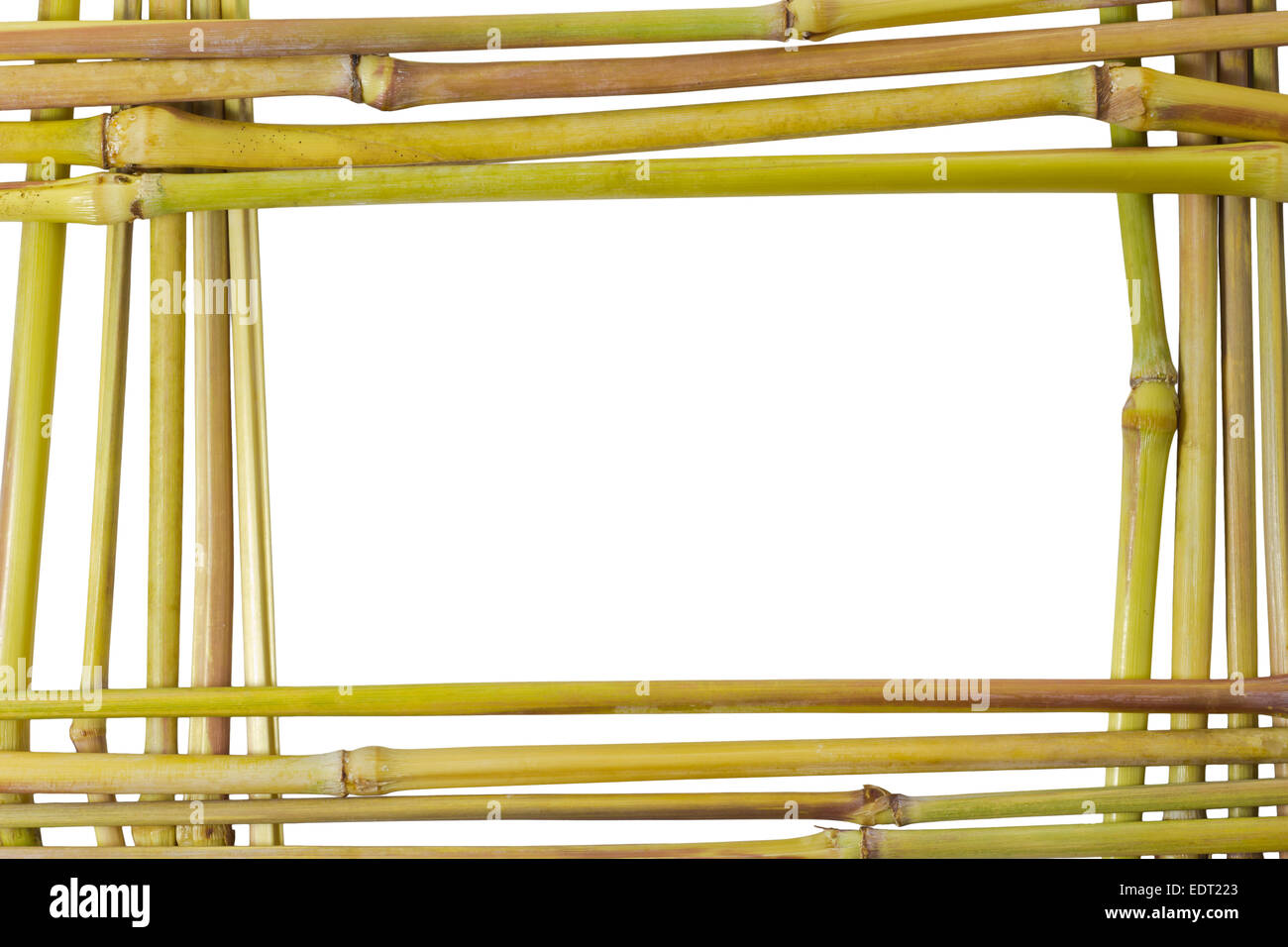 Le châssis de la nature de la lutte contre les mauvaises herbes de la tige des plantes isolées sur fond blanc et clipping path Banque D'Images