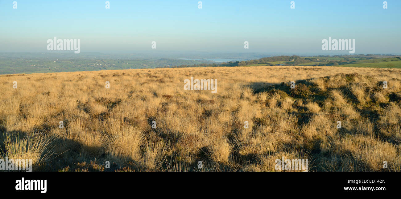 Panorama de Blagdon Lake de Beacon, Lot Black Down point le plus élevé sur les collines de Mendip, Somerset Banque D'Images