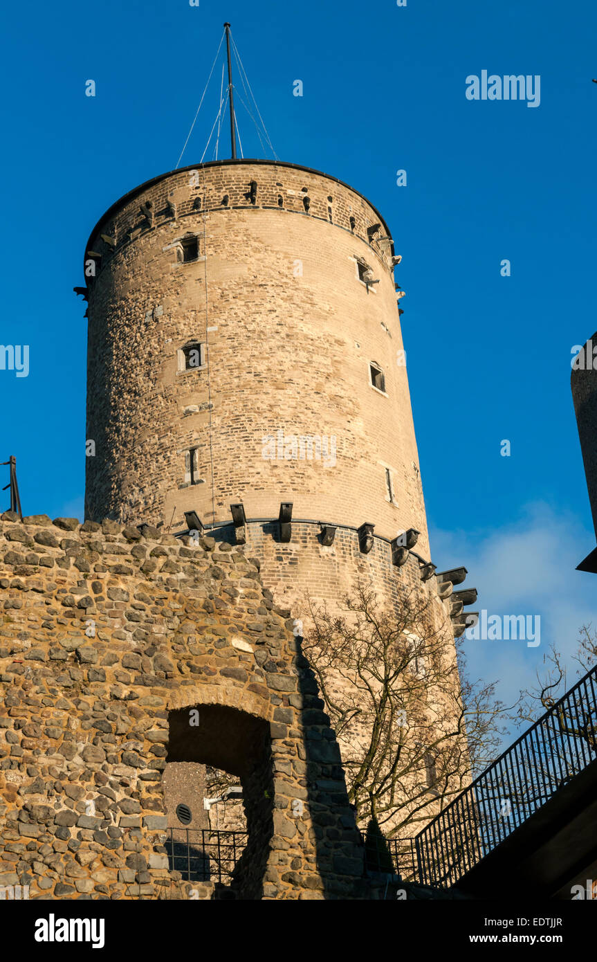 La ruine de Godesburg, Bonn - Bad Godesberg, NRW, Allemagne. Banque D'Images