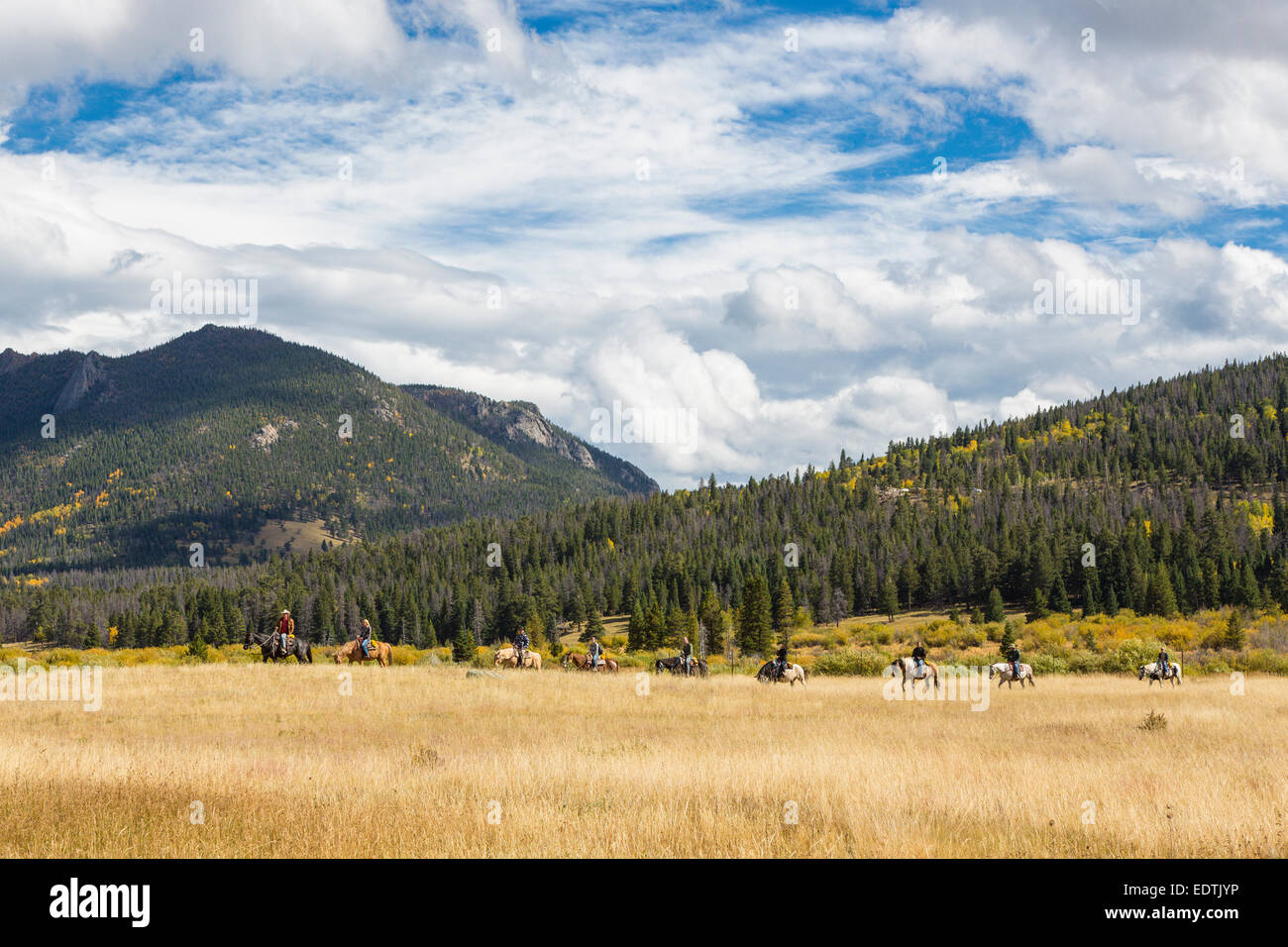 L'équitation de cheval de l'Ouest Parc de Rocky Mountain National Park en Californie Banque D'Images