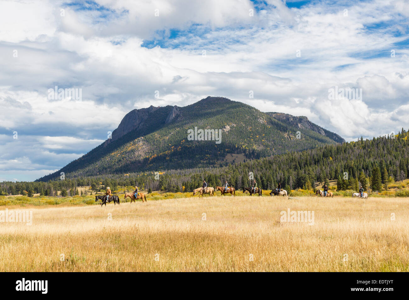 L'équitation de cheval de l'Ouest Parc de Rocky Mountain National Park en Californie Banque D'Images