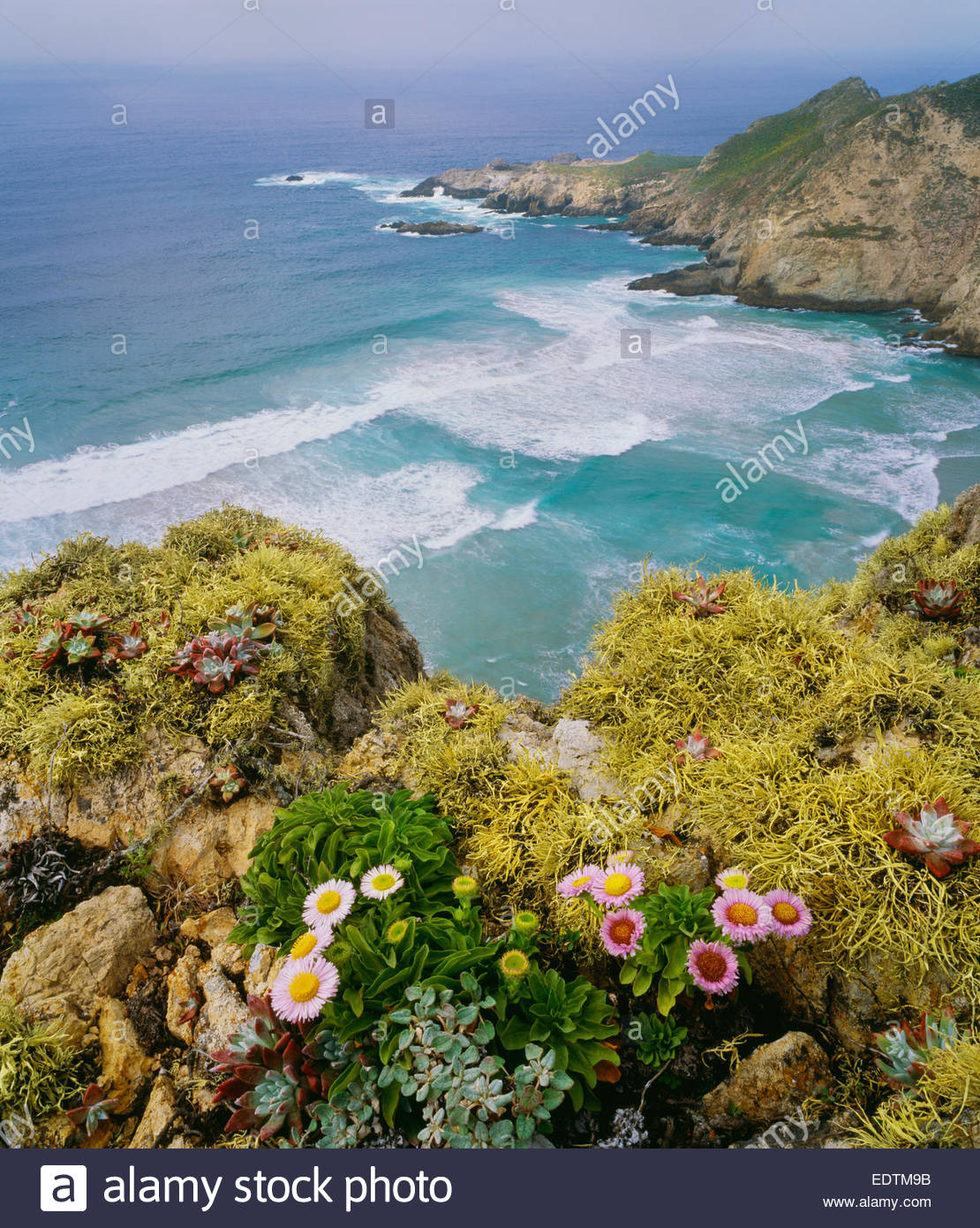 Point Island Banque d'image et photos Alamy