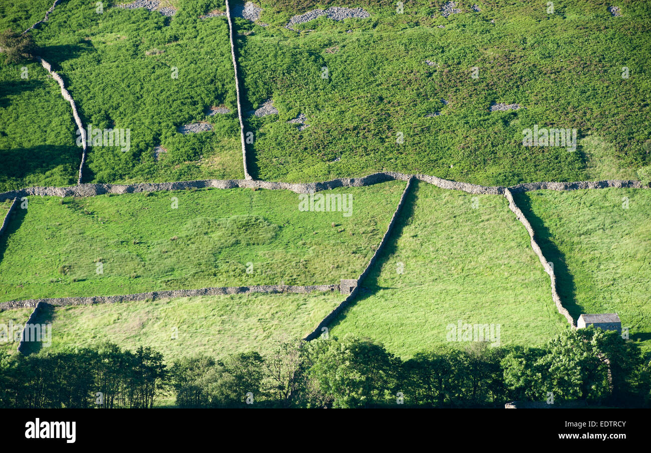 Mur de pierres sèches dans les habitudes, soleil du soir Swaledale, Yorkshire, Angleterre. Banque D'Images