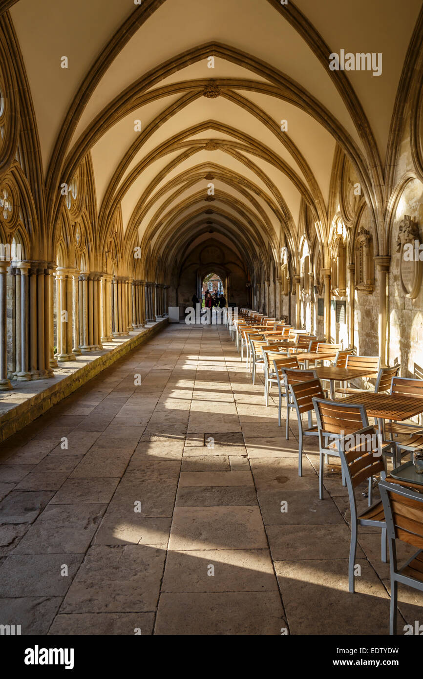 La cathédrale de Salisbury - vue sur le Cloître médiéval Banque D'Images