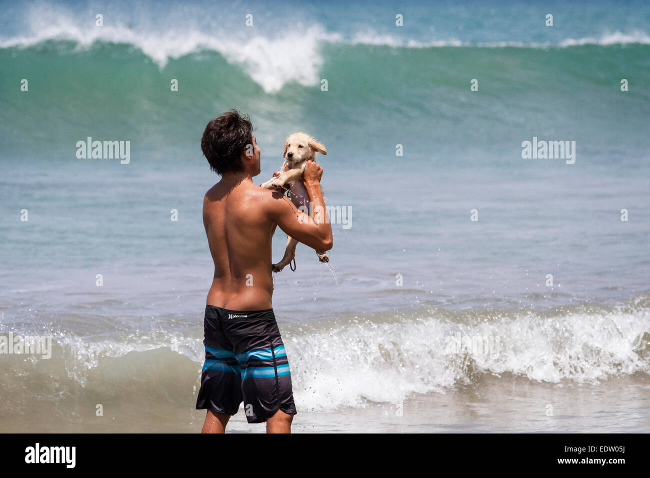 Un jeune homme jouant avec un chiot sur une plage à Bali Banque D'Images