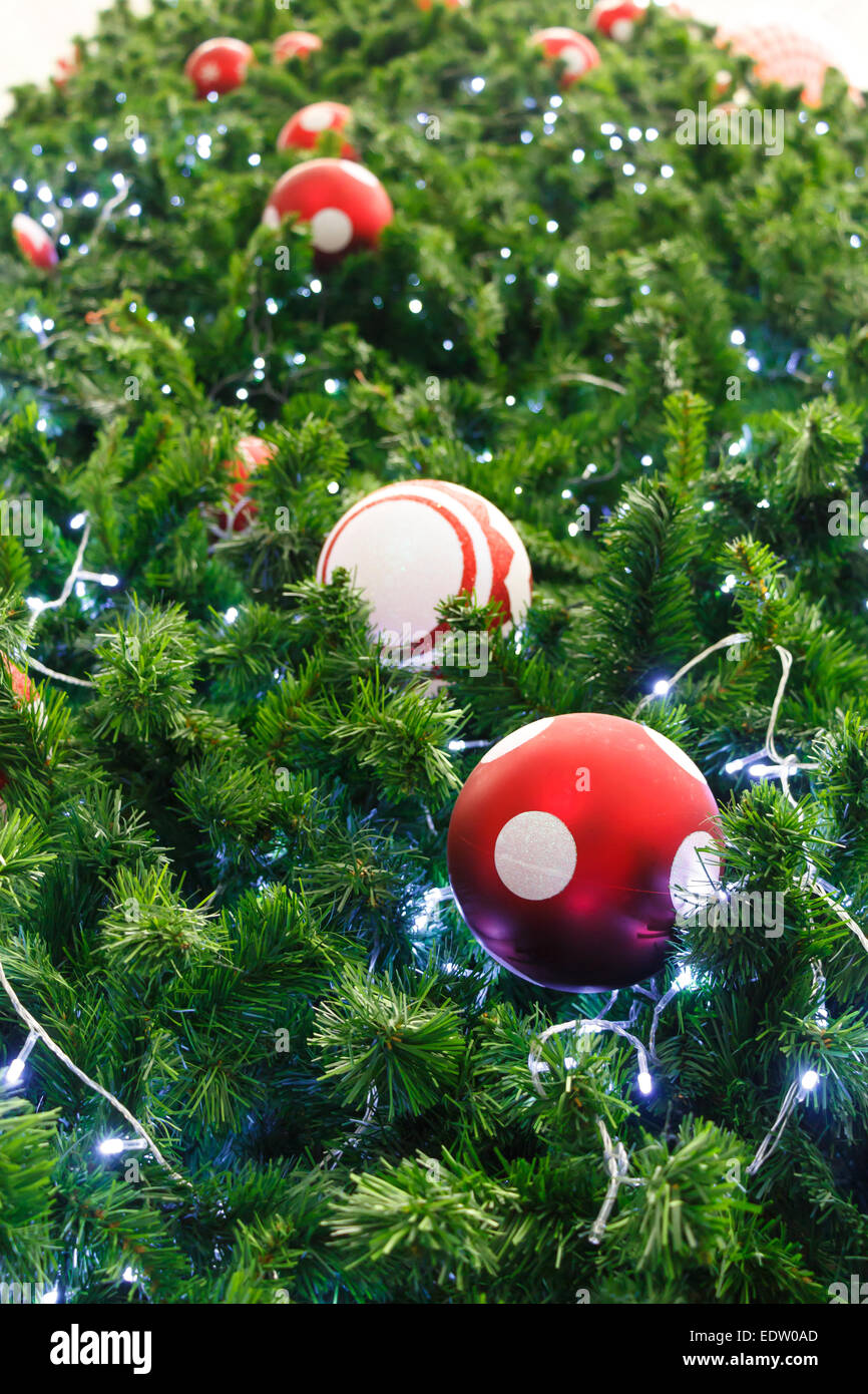 Balle rouge et ont été décorés de l'ampoule sur le pin le jour de Noël en Thaïlande Banque D'Images