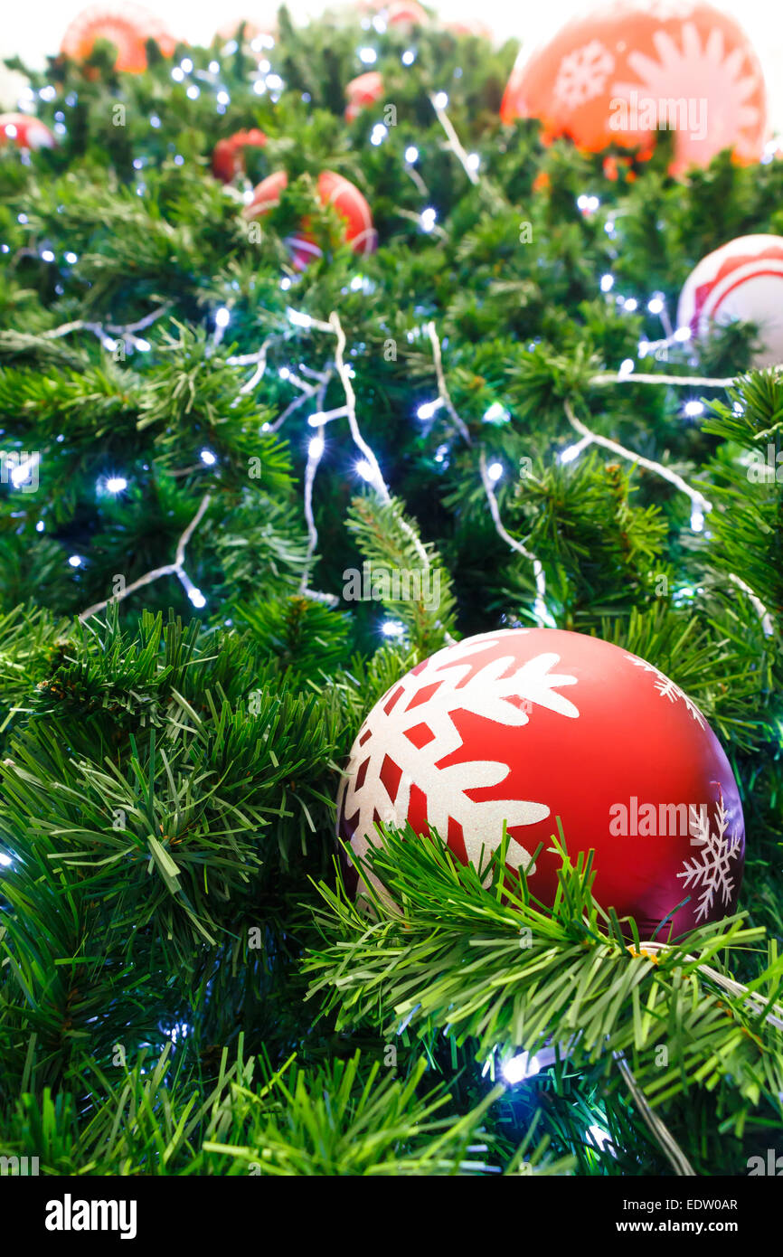 Balle rouge et ont été décorés de l'ampoule sur le pin le jour de Noël en Thaïlande Banque D'Images