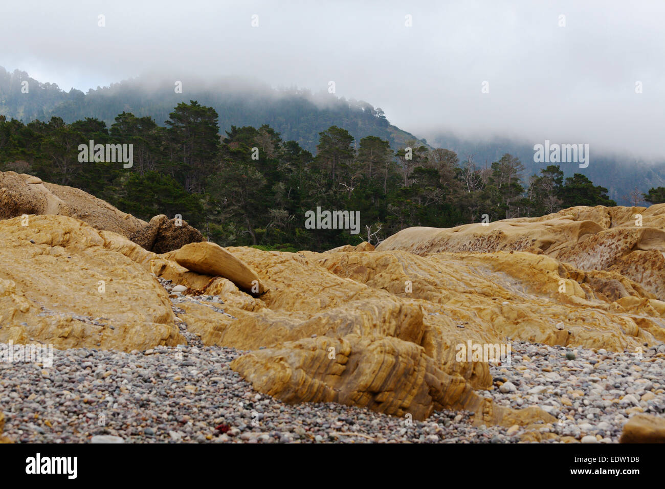 ROCK FORMATIONS at Weston Beach et une forêt de pins de Monterey - Point Lobos State Park, Californie Banque D'Images