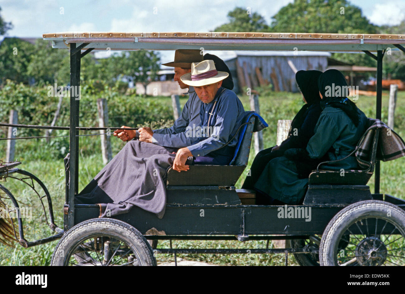 Les Mennonites en voiture à cheval de Barton Creek communauté orthodoxe, Belize, en Amérique centrale, Juin 1985 Banque D'Images