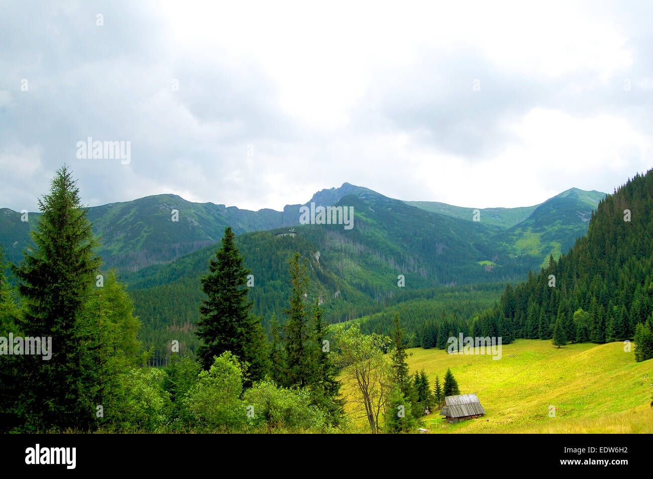 Cabane solitaire sur une prairie de montagne Banque D'Images