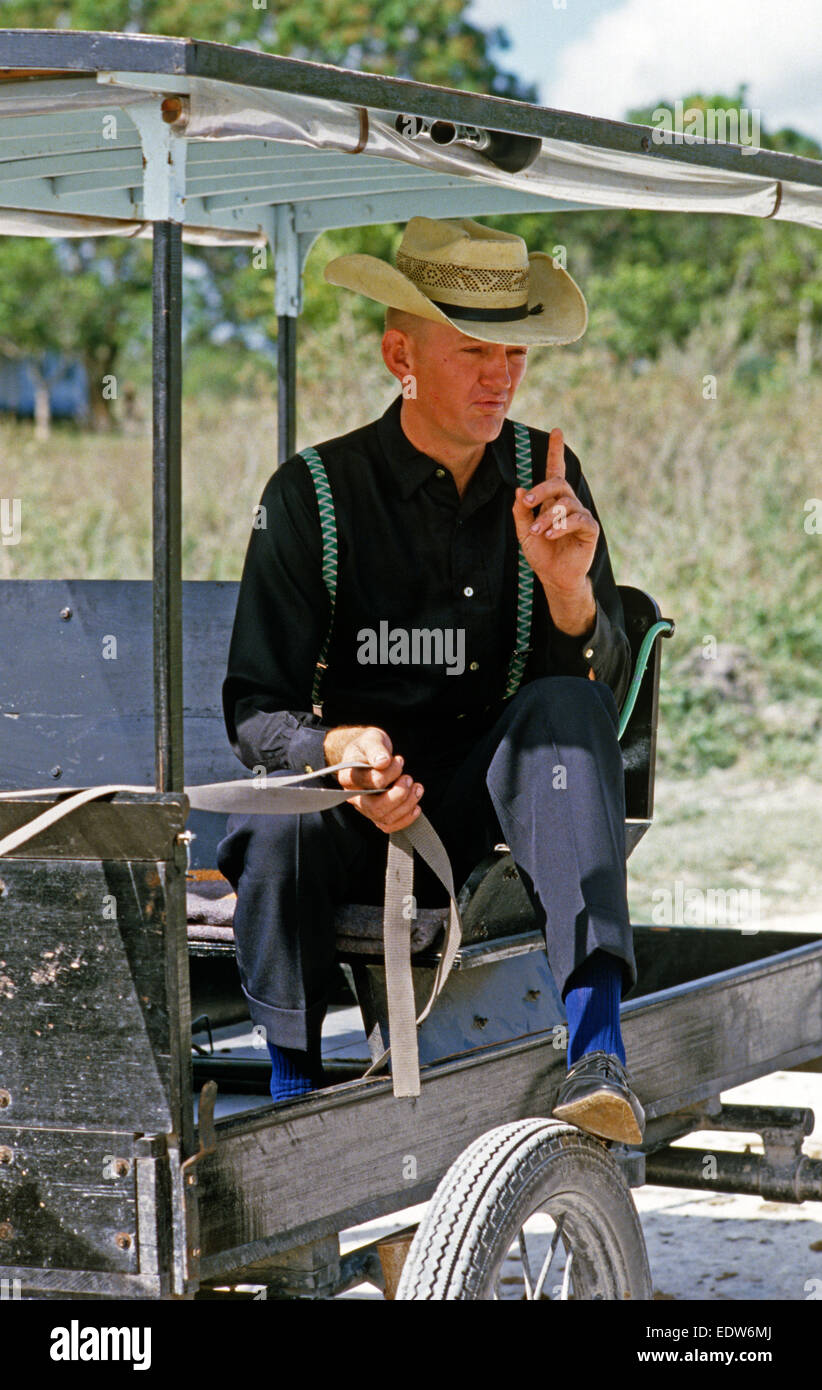 Des chevaux et des Mennonites orthodoxes buggy, Belize, en Amérique centrale, Juin 1985 Banque D'Images