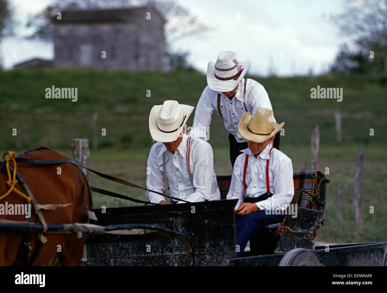 Les Mennonites en voiture à cheval de Barton Creek communauté orthodoxe, Belize, en Amérique centrale, Juin 1985 Banque D'Images