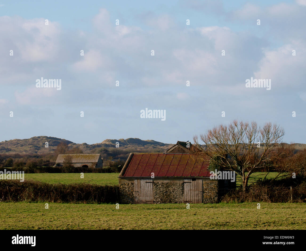 Terres agricoles en milieu rural avec de vieilles granges, Devon, UK Banque D'Images