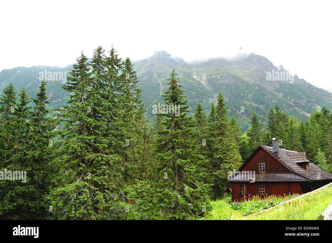 Cabane solitaire sur une prairie de montagne Banque D'Images