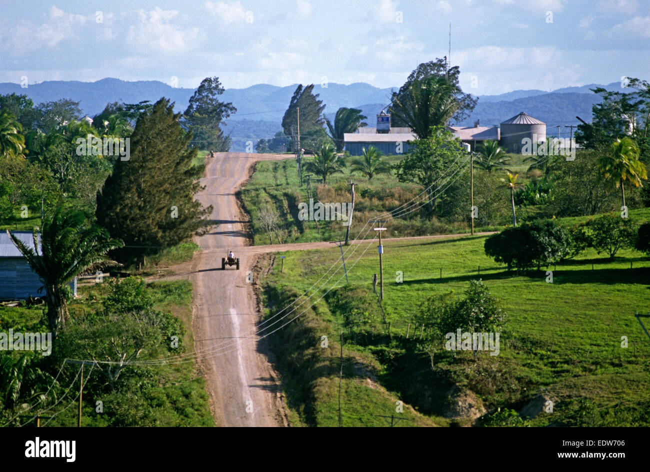 Règlement Mennonite Spanish Lookout au Belize, en Amérique centrale, Juin 1985 Banque D'Images