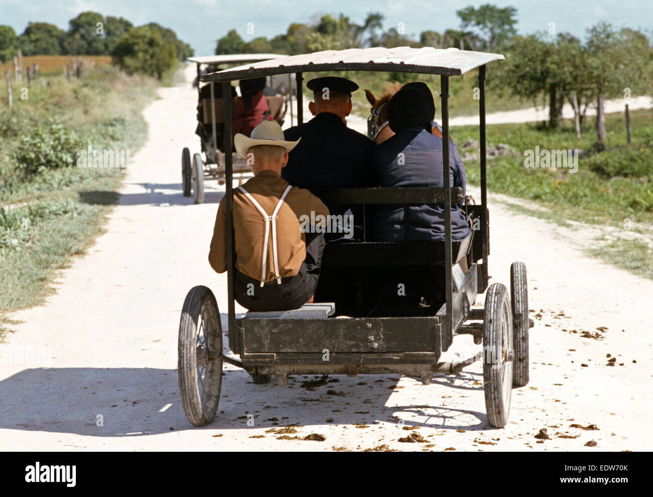 Les Mennonites orthodoxes à Cheval et buggy, Belize, en Amérique centrale, Juin 1985 Banque D'Images